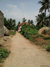 Landscape of PETHAMPATTY